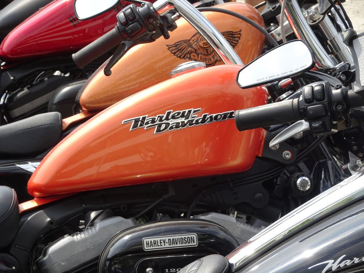 Dettaglio di serbatoi e manubri di diverse moto Harley-Davidson, con il logo ben visibile sul serbatoio arancione in primo piano e sul motore.