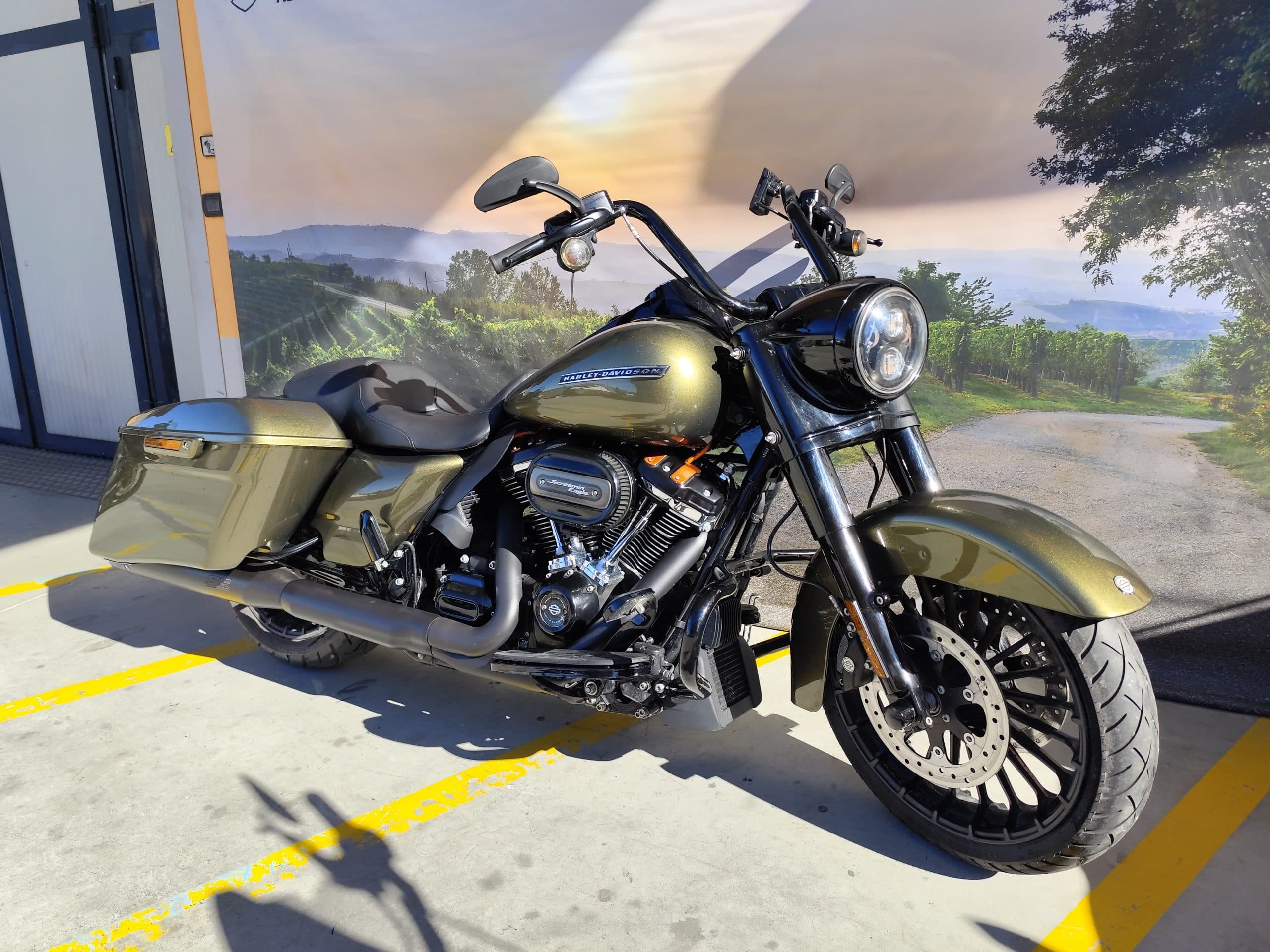 IMG_20260217_122027.jpg Harley-Davidson touring color verde oliva metallizzato, con motore Screamin' Eagle, parcheggiata davanti a un murale di vigneti. Ideale per test ride.