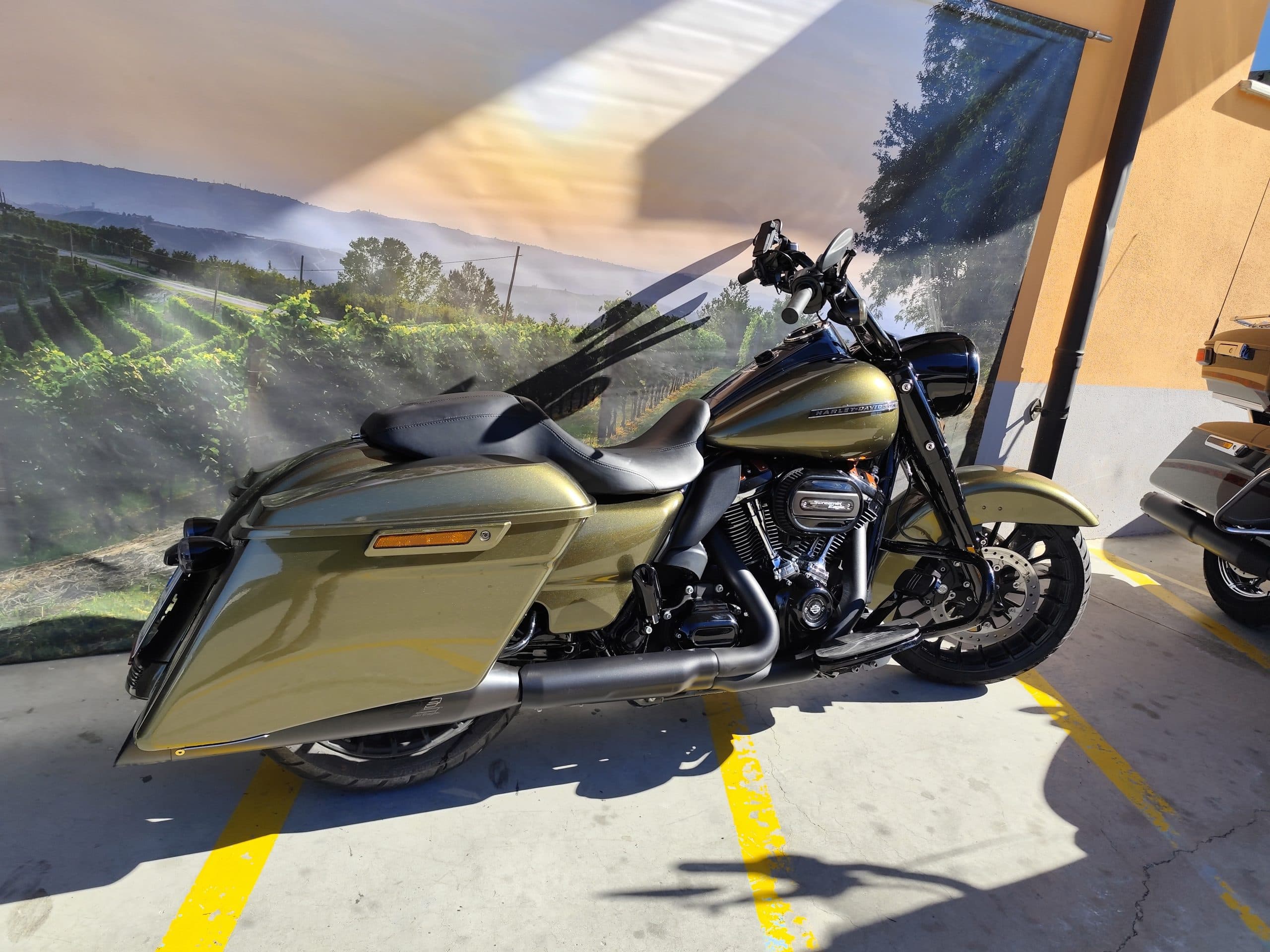 IMG_20260217_122035.jpg Harley-Davidson touring color oro metallizzato con dettagli Screamin' Eagle, parcheggiata davanti a un murale di vigneti delle Langhe. Moto e motori.