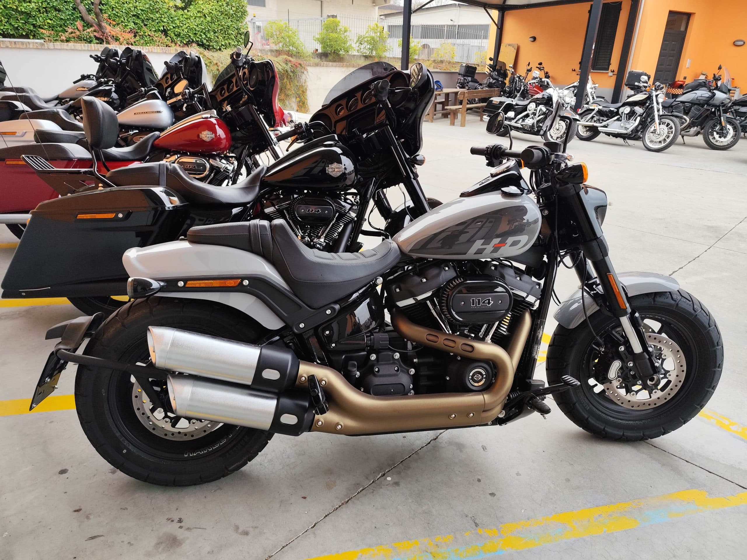 1763113370580-scaled Vasta gamma di moto Harley-Davidson, con Fat Bob 114 grigio in primo piano, motori 114, disponibili per test ride in concessionaria.