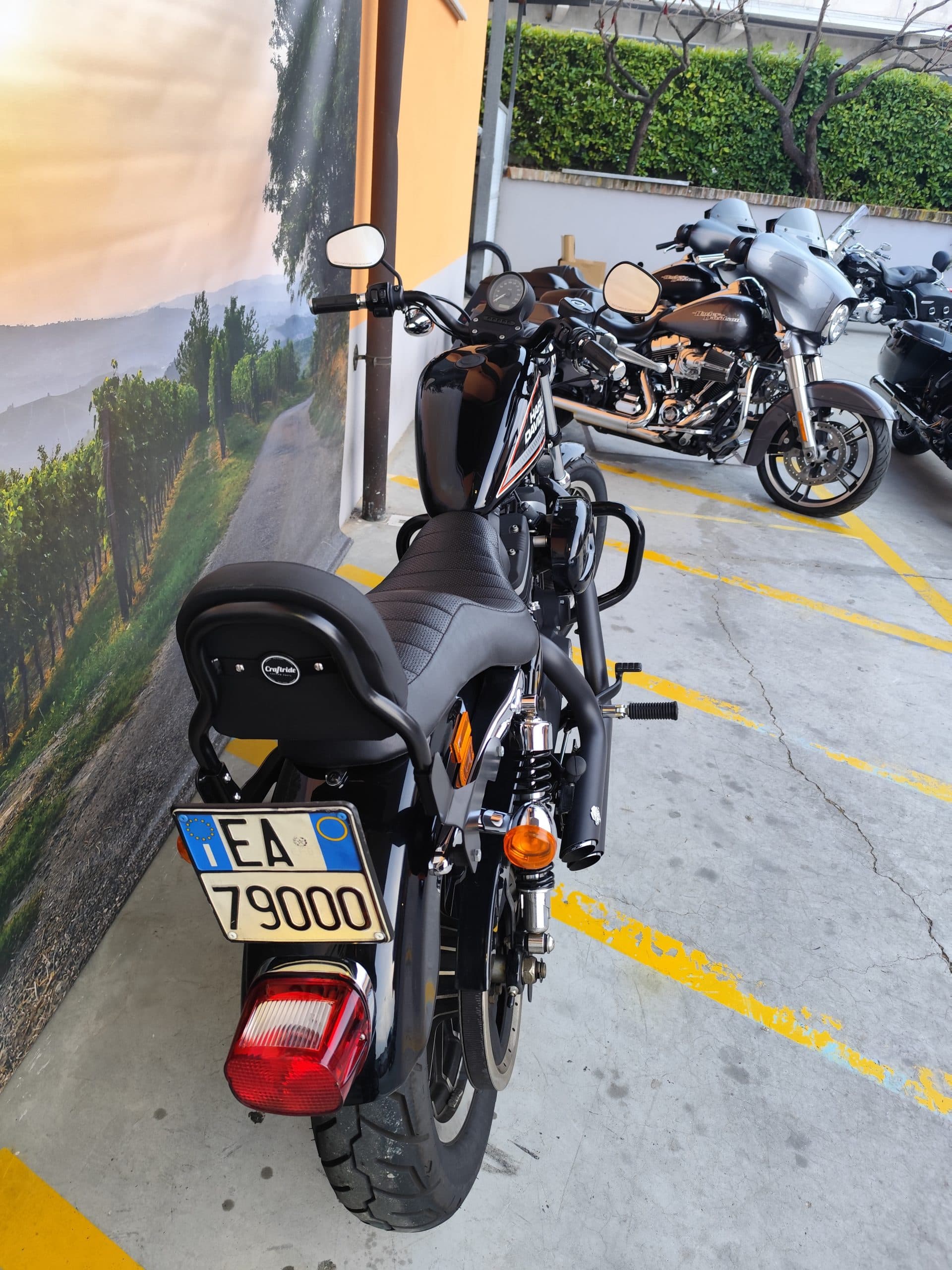 IMG_20260303_180130.jpg Moto Harley-Davidson parcheggiate, con modello nero in primo piano (targa italiana EA 79000). Altri motori e murale di vigneti per