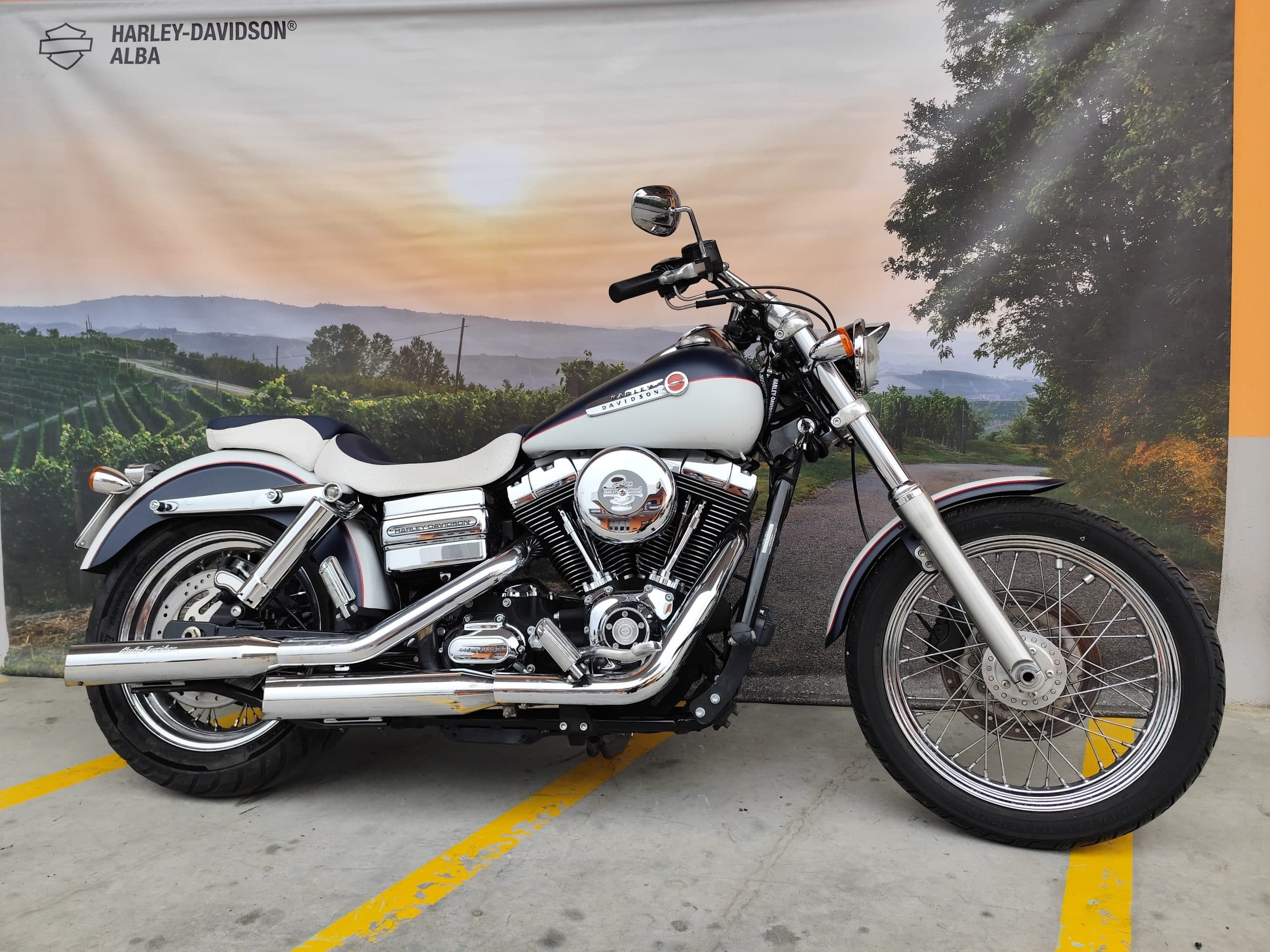 IMG_20260310_151326-scaled Moto Harley-Davidson cruiser bicolore (blu/bianco) con cromature lucide, esposta davanti a un banner Harley-Davidson Alba con vigneti.