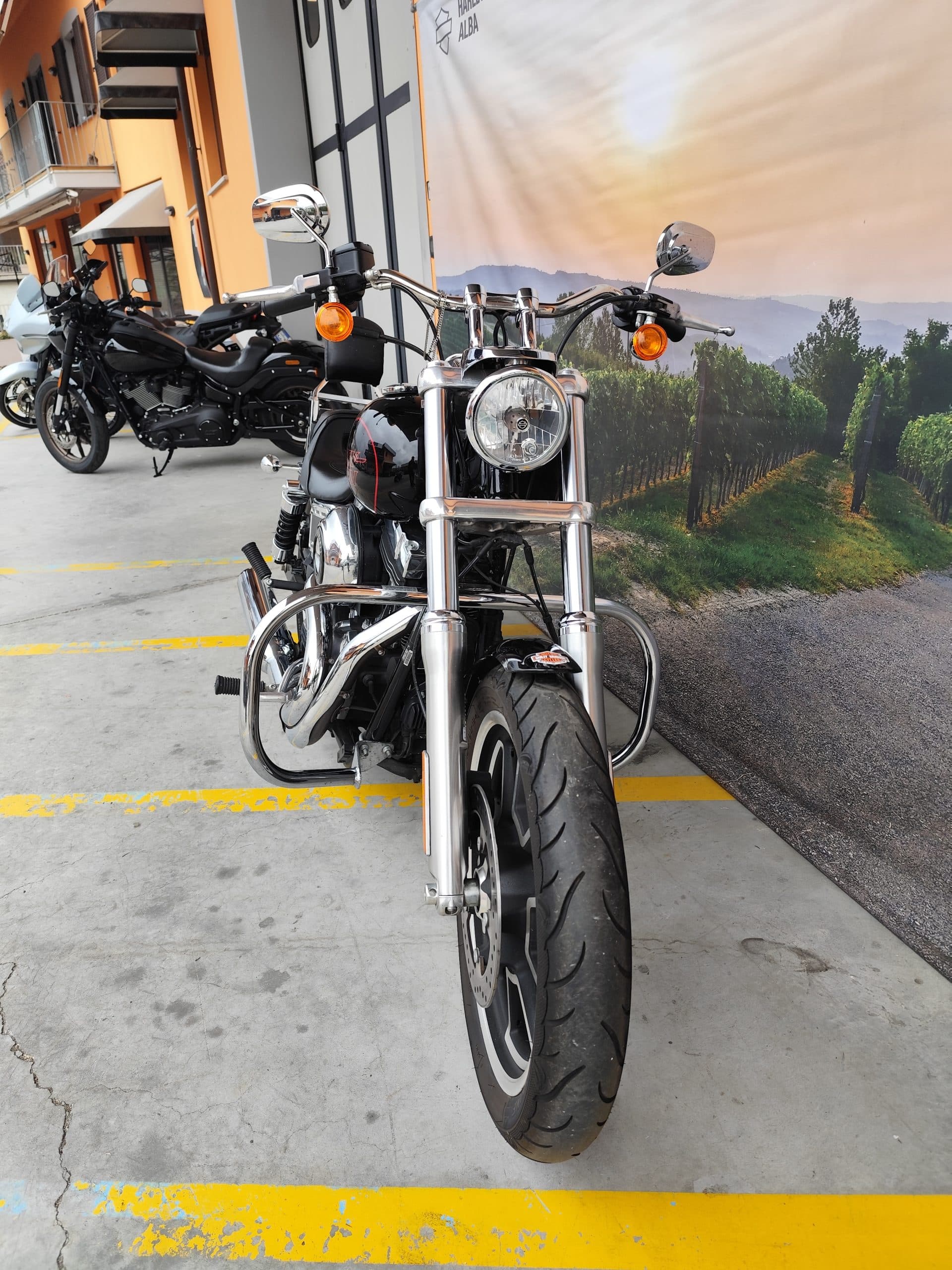 IMG_20260310_151602.jpg Harley-Davidson Softail nera parcheggiata, con altre moto in fila, davanti al concessionario Harley-Davidson Alba. Sfondo paesaggistico. Perfetta per test ride.