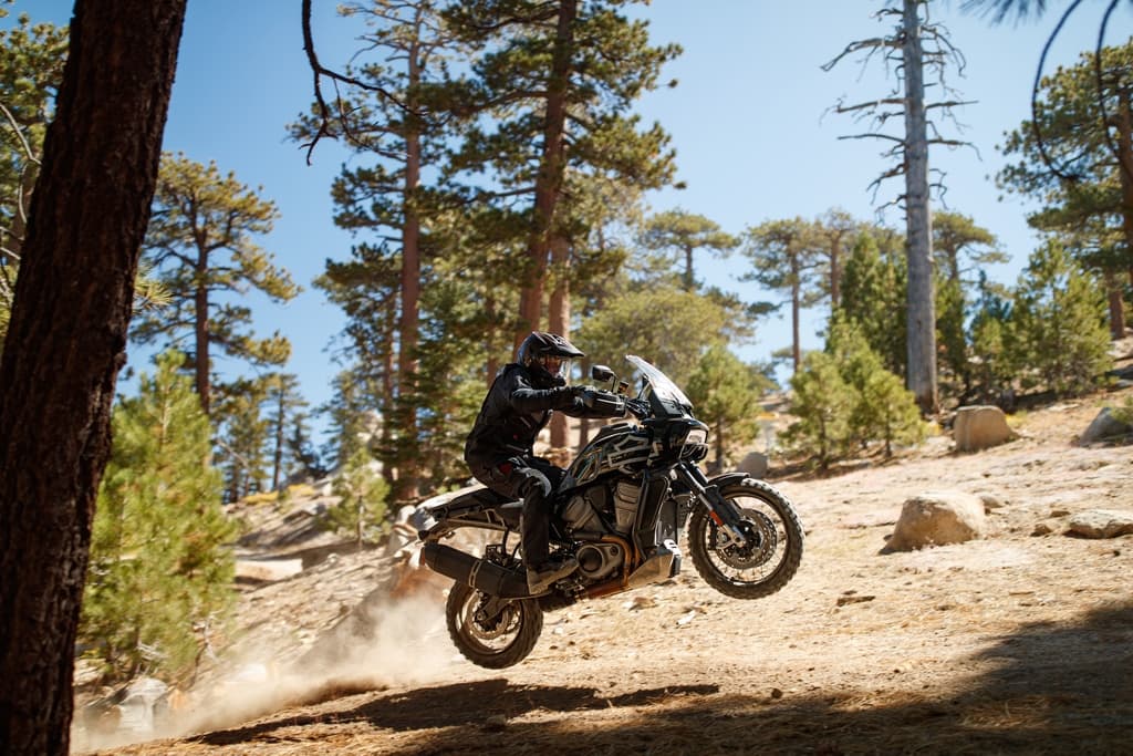 PA5.jpg Motociclista con abbigliamento tecnico Harley-Davidson in sella a una moto adventure, in volo su un sentiero sterrato tra i pini. Test ride dinamico.