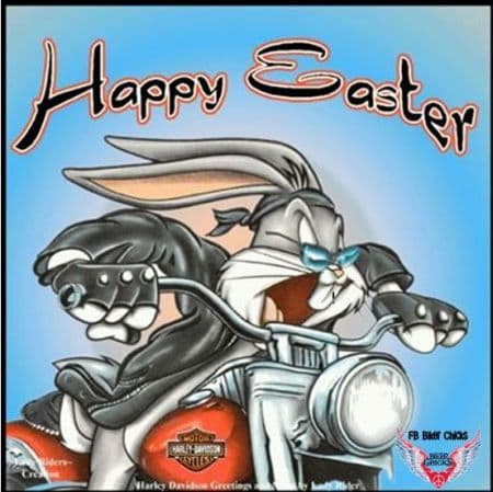 eve_p5e3597bcbb3083808fb7e3e50e30c04_9585dff641cf Bugs Bunny in tenuta da motociclista su Harley-Davidson, con occhiali da sole e bandana, augura 'Happy Easter'. Icona motori e abbigliamento.