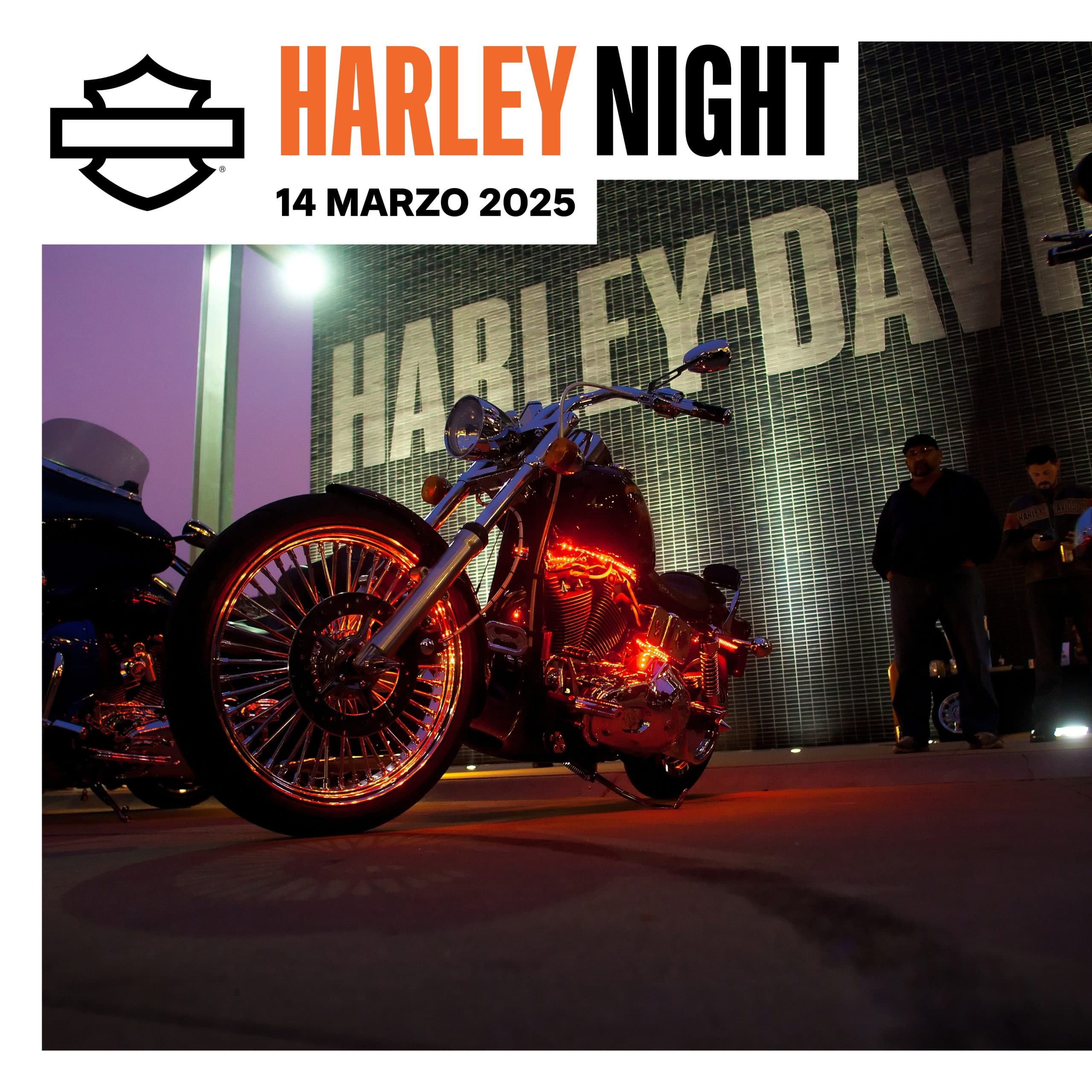 social-carosello-a-1.jpg Locandina evento Harley Night del 14 marzo 2025 con moto Harley-Davidson illuminata da luci rosse e persone sullo sfondo.